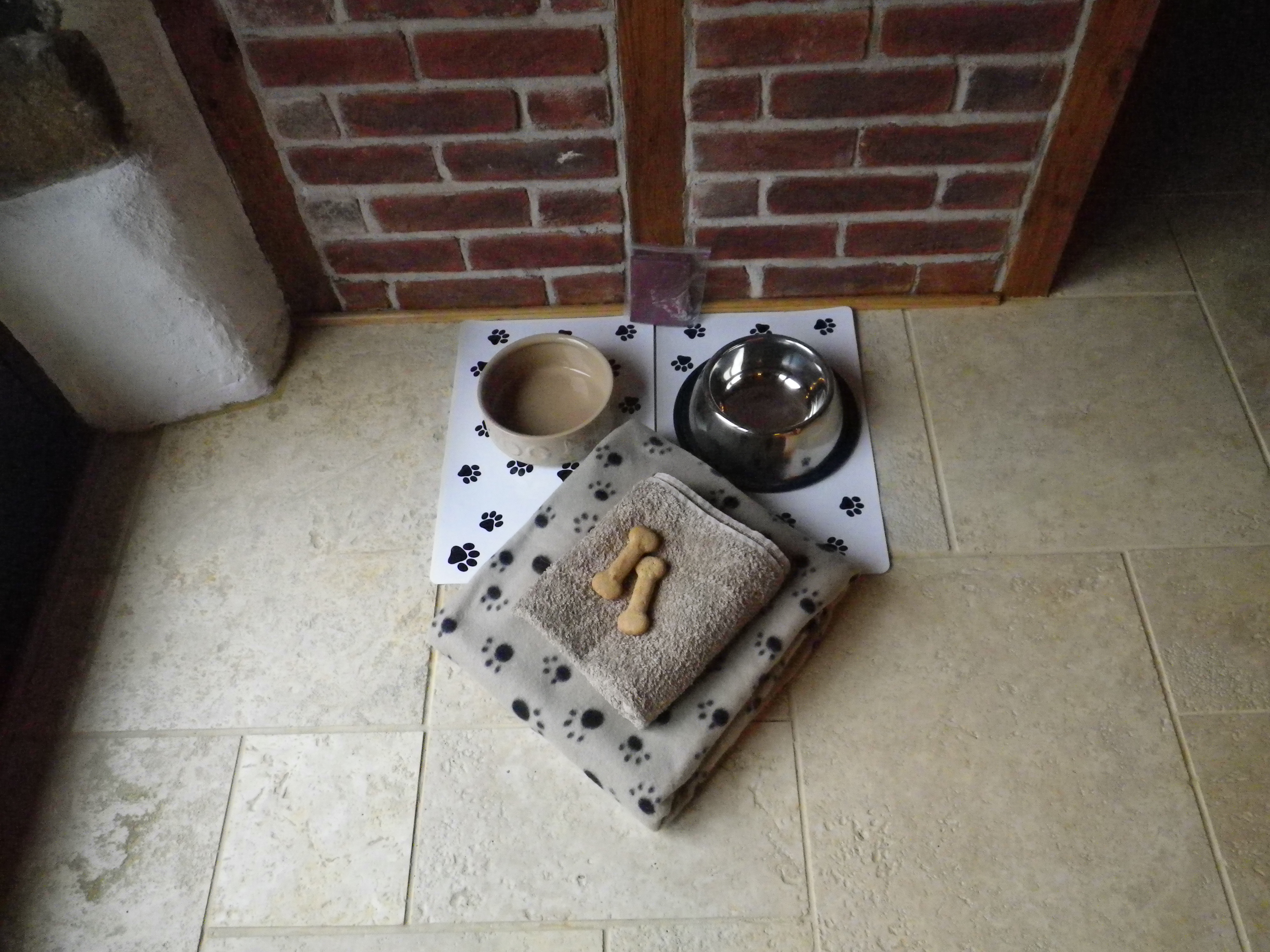 dog-and-cat-friendly-holidays
